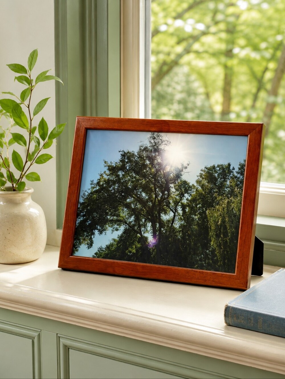 Envisioned by SB Sunlit Forest Original NB Photography Framed 8x10